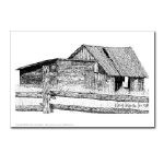 Old Country Woodshed Pen and Ink Postcard by NANCE
